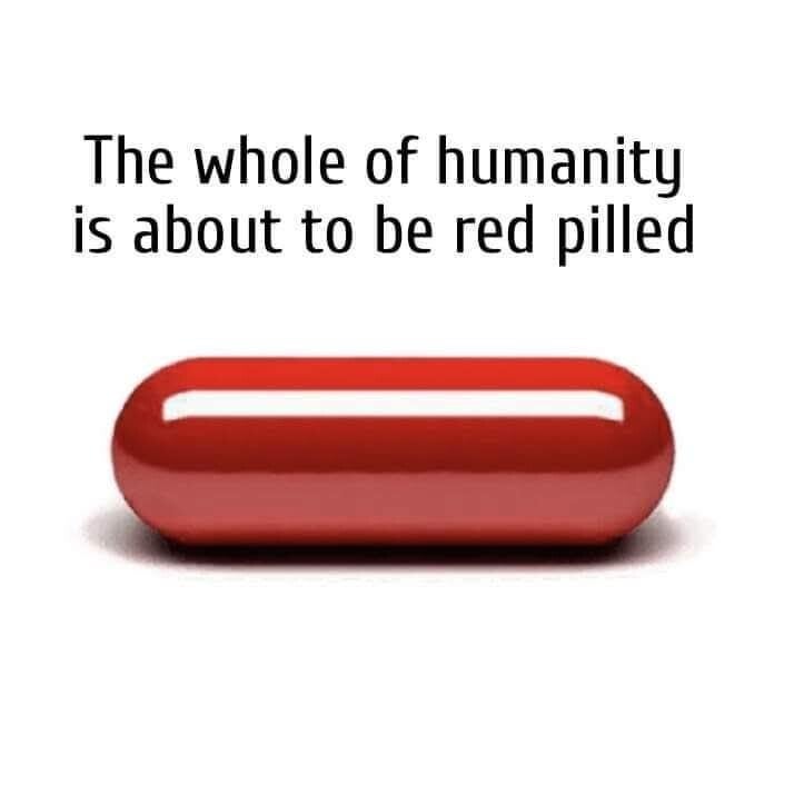 Ifá Divination Service