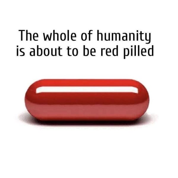 Ifá Divination Service