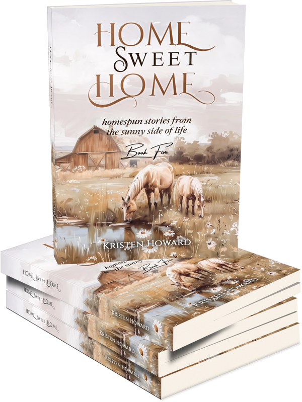 Home Sweet Home - Book Five