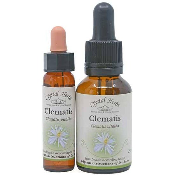 Clematis Flower Essence 10ml/25ml
