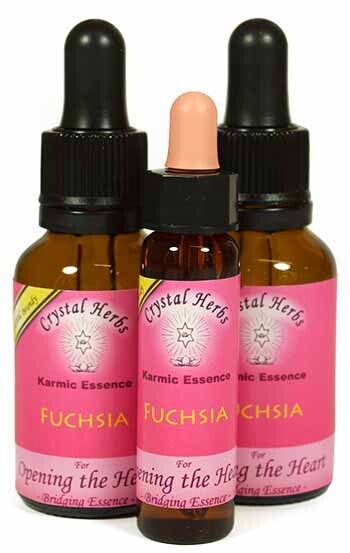 Fushcia Flower Essence 10ml/25ml