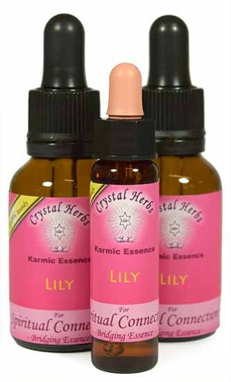 Lily Flower Essence 10ml/25ml