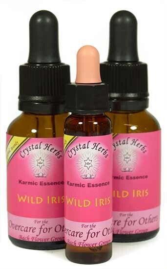 Wild Iris Flower Essence 10ml/25ml