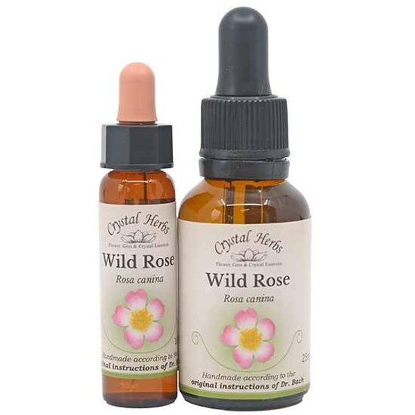 Wild Rose Flower Essence 10ml/25ml