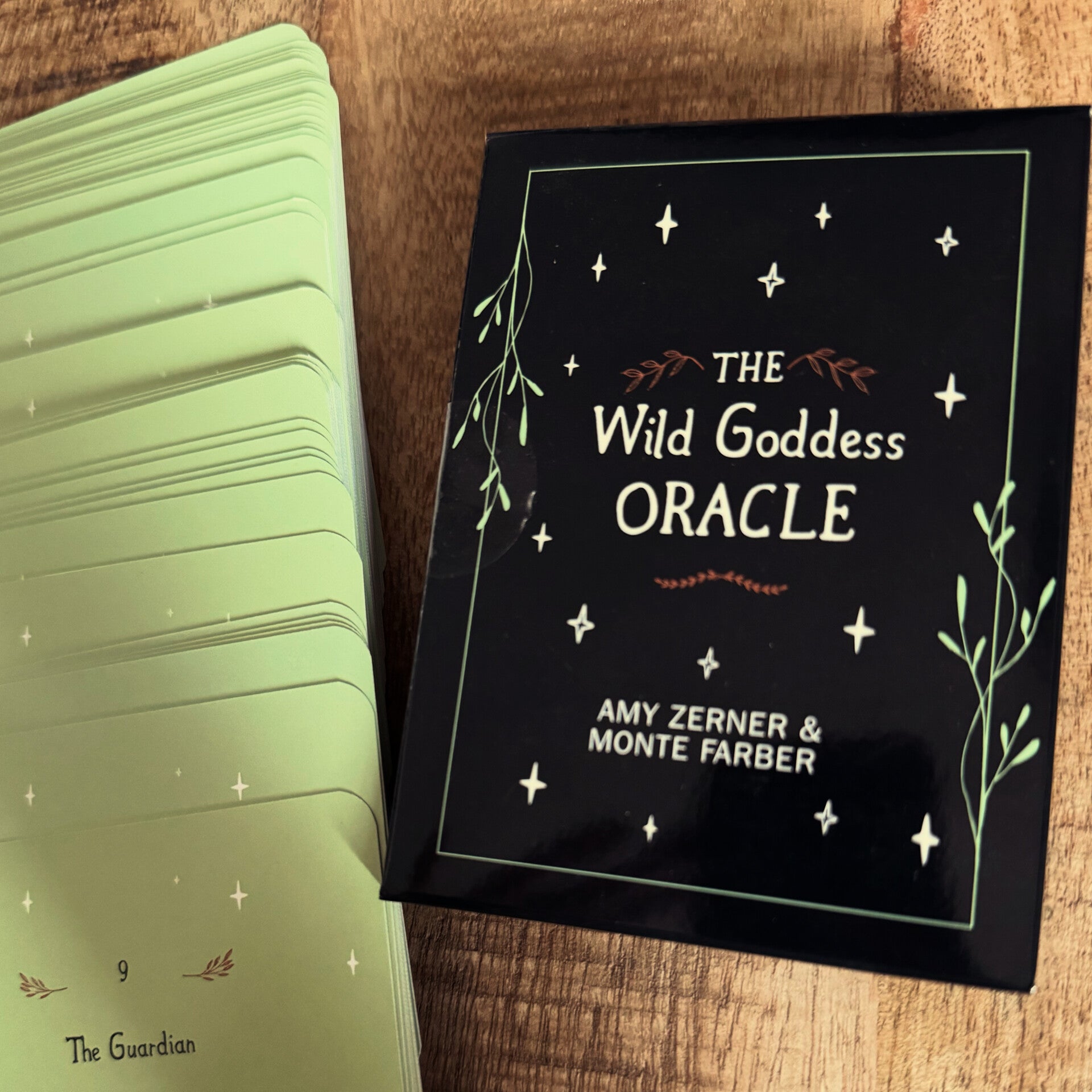 Ontwaak je Wilde Godin - Reading