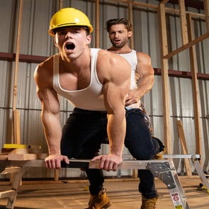 studs-12-standard.jpg