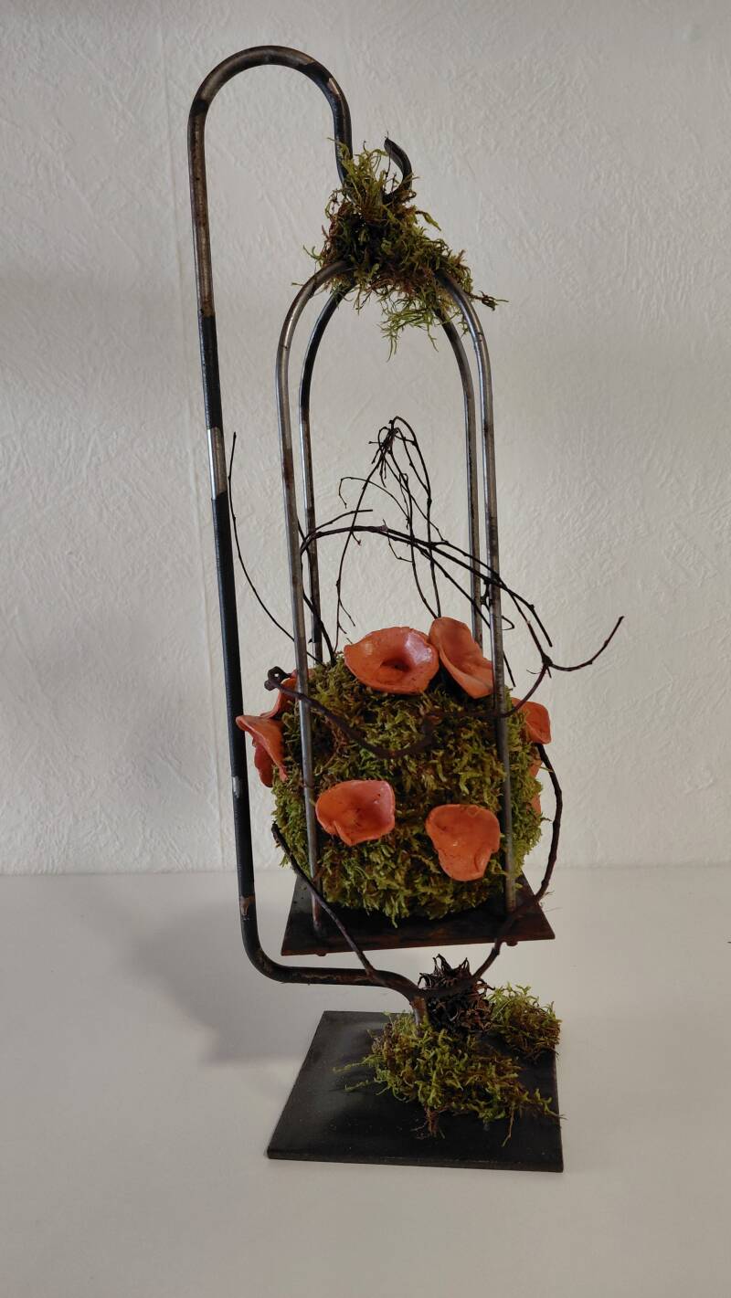 €21.99 Floating Flowerball