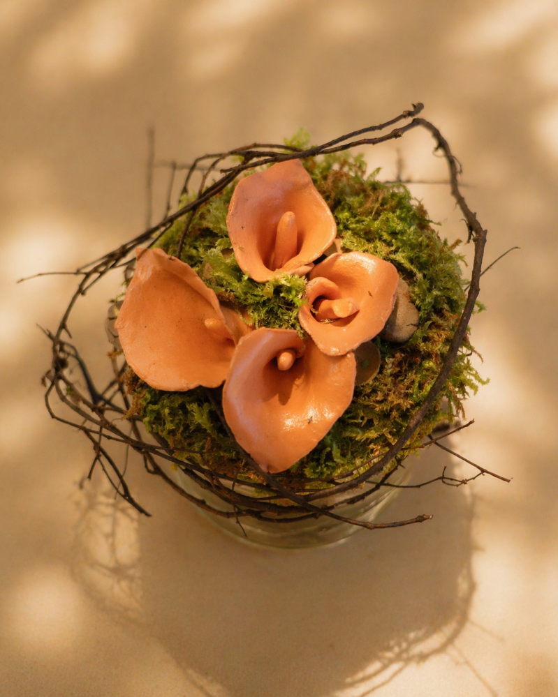 Arons Nest 18X11cm