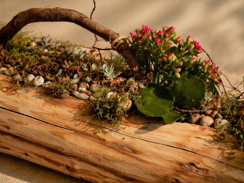 Ligne De Bois 63X20X20cm