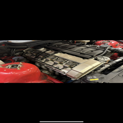 img_2481-standard.png