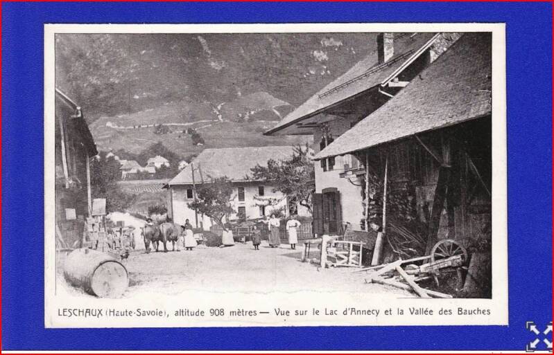 29-cp-1913-le-col-standard.jpg