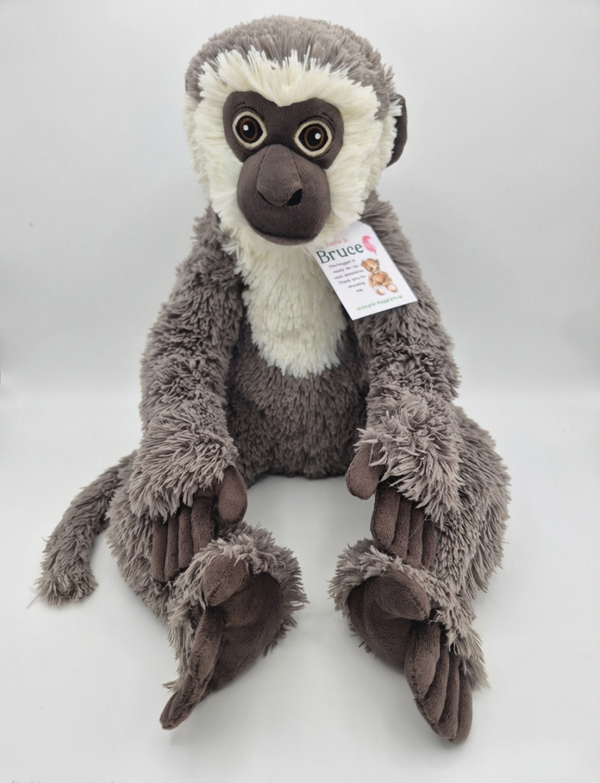 Bruce - The Monkey