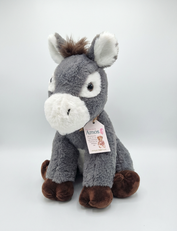 Amos - The Donkey