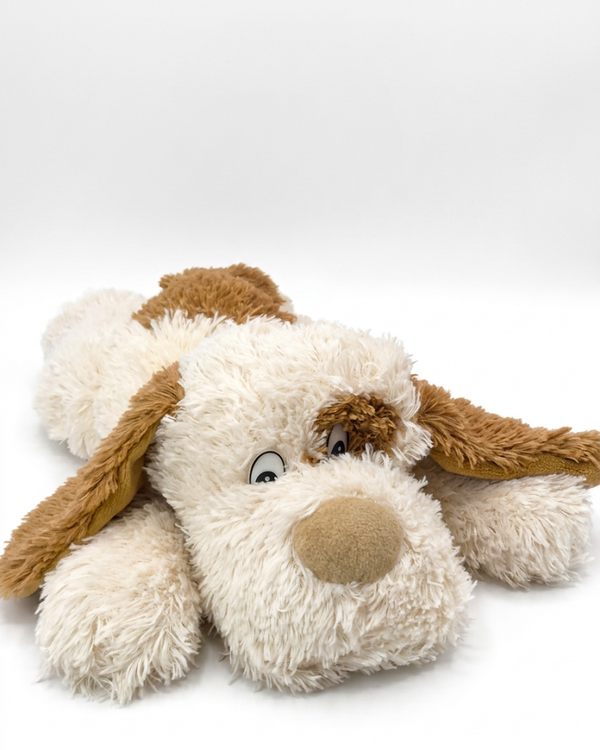 Floppy dog