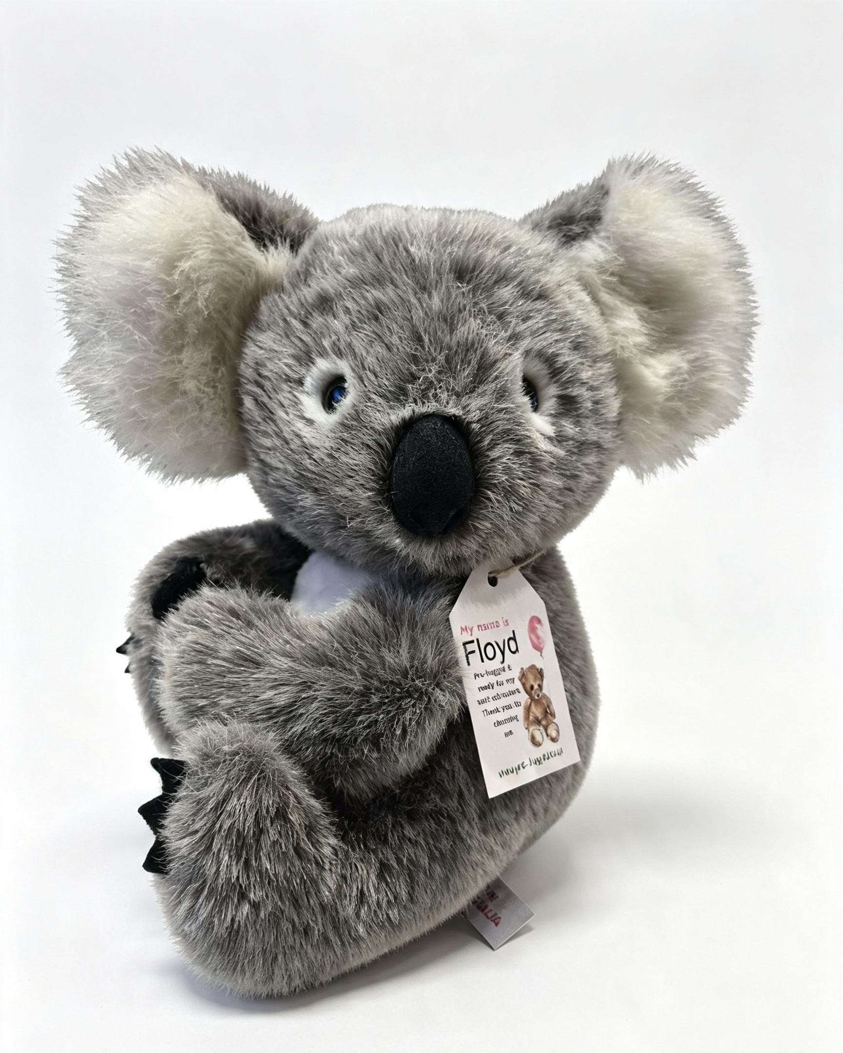 Floyd The Koala