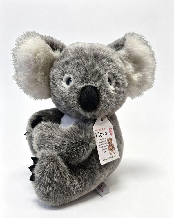 Floyd The Koala