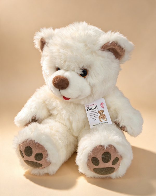 Basil - The Bear
