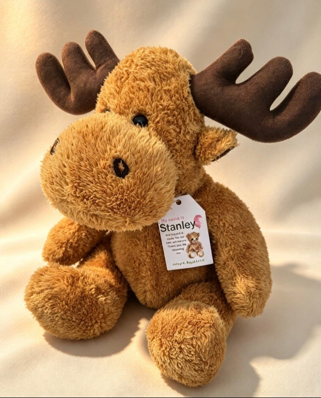 Stanley - The Moose