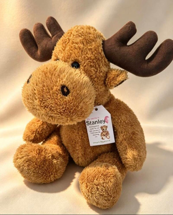Stanley - The Moose
