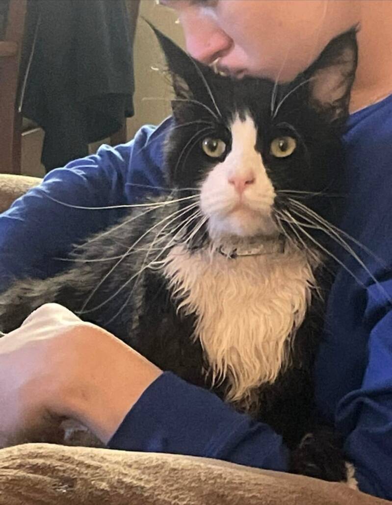 Cosmo (TC King)