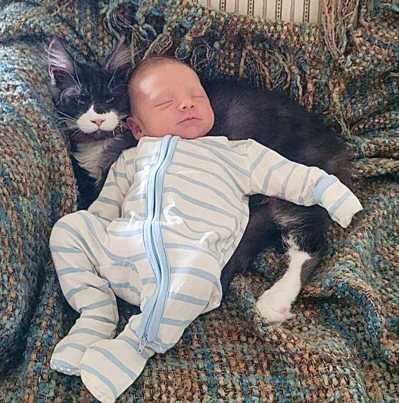 Tux (Peaches&amp;Mufasa)