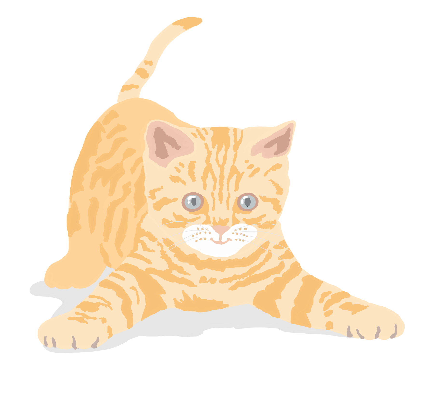 Dieren Markantontwerp