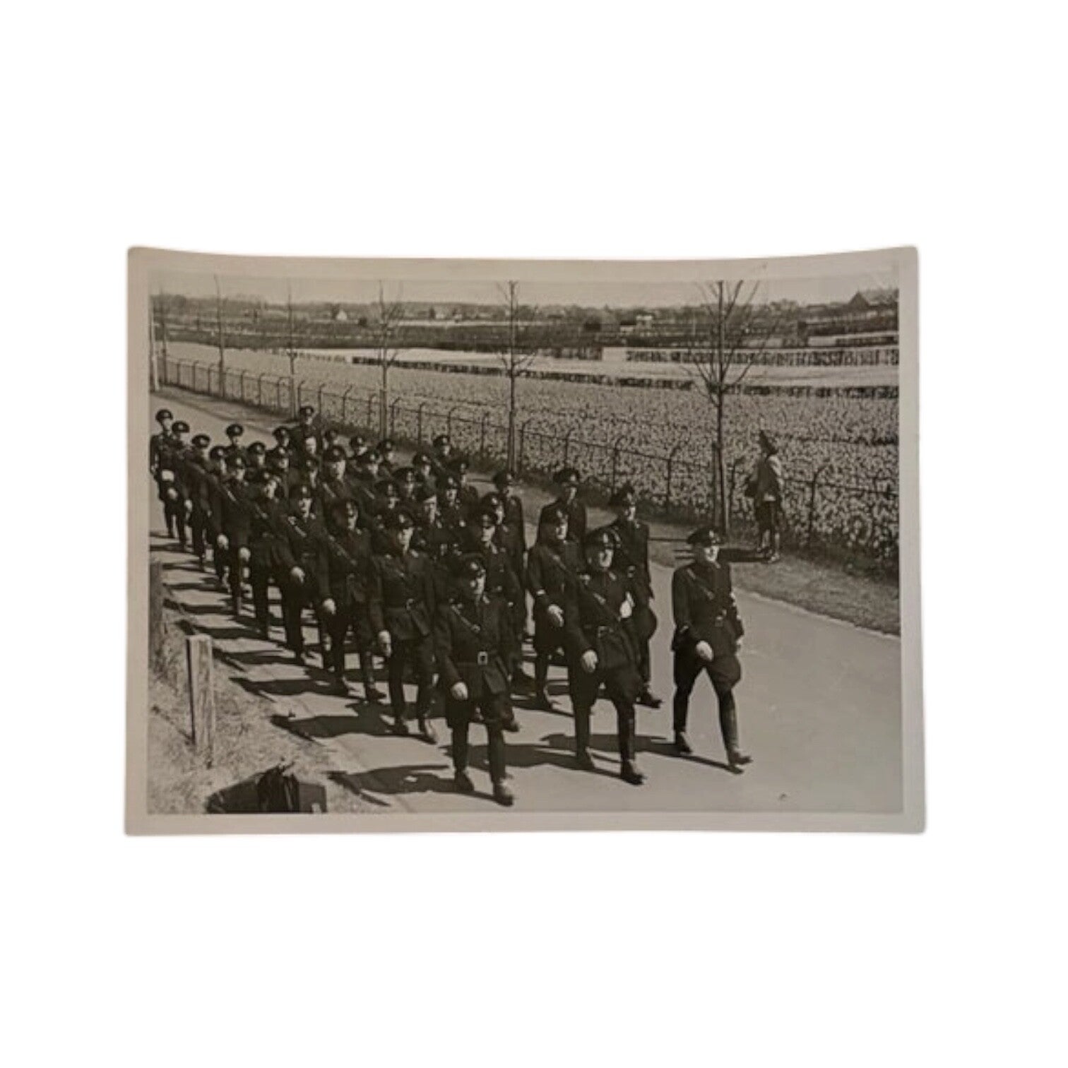 Foto 'WA bloembollen-mars'