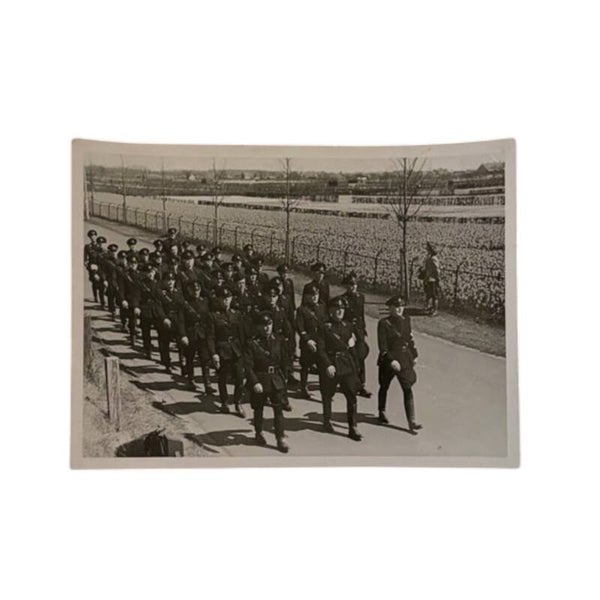 Foto 'WA bloembollen-mars'