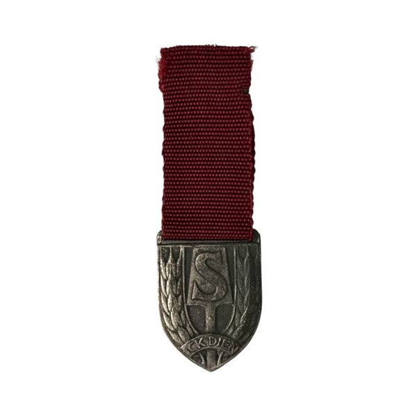 Miniatuur medaille 'Ned. Arbeidsdienst'