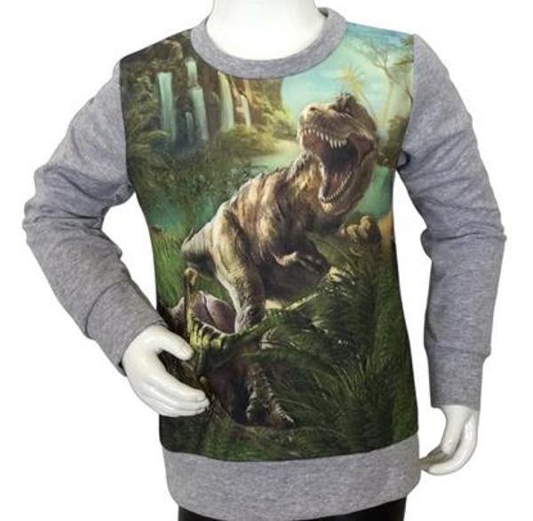 S&C  Dinosaurus Longsleeve shirt Dinosaurus  T-Rex - grijs
