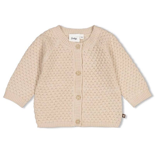 Feetje - Vestje gebreid - The Knits