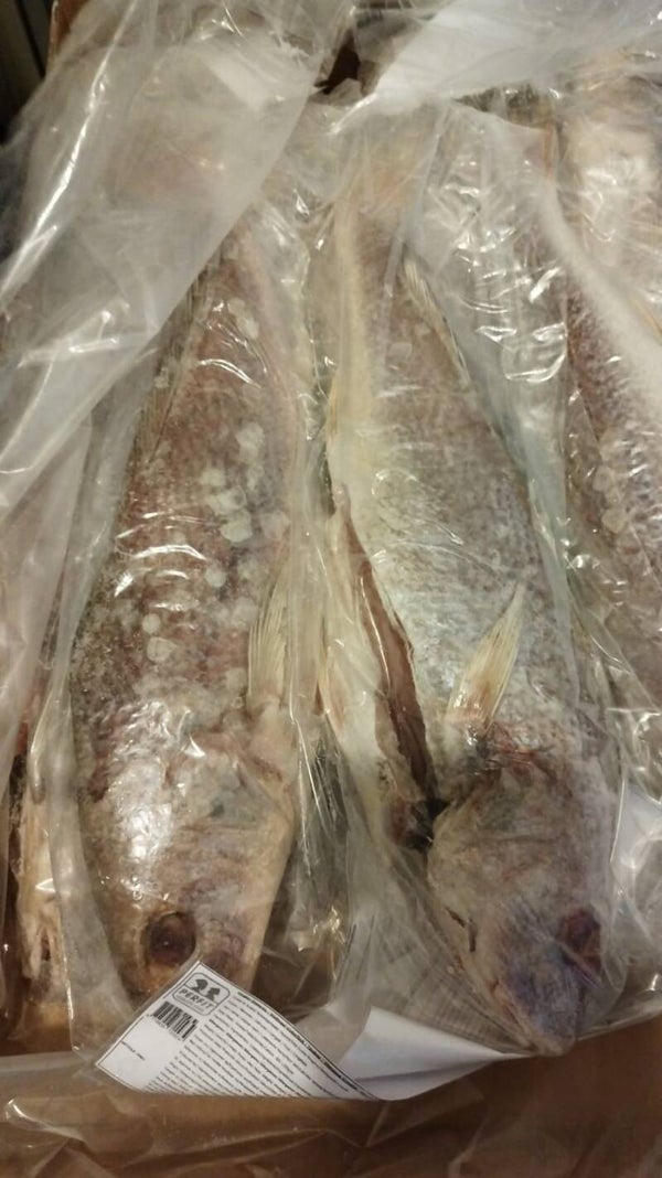 CARTAO DE MALUA  - CAPITAINE