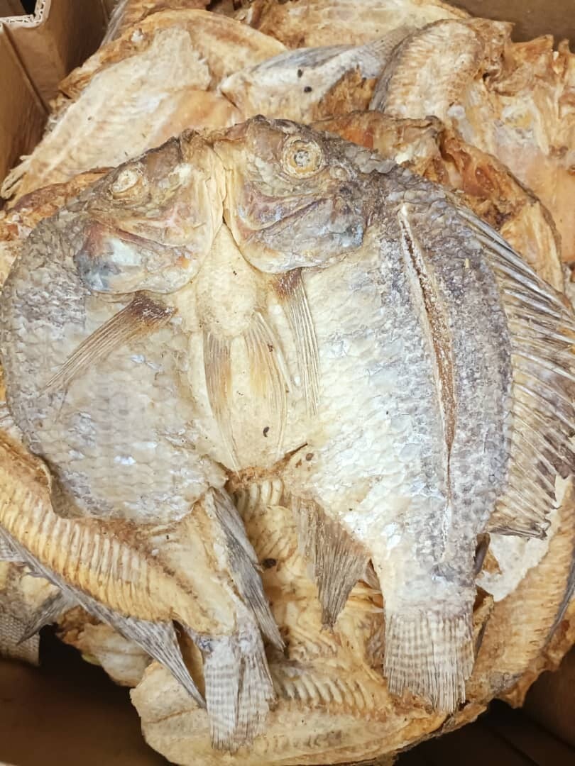 Bitoyo - Poisson salé