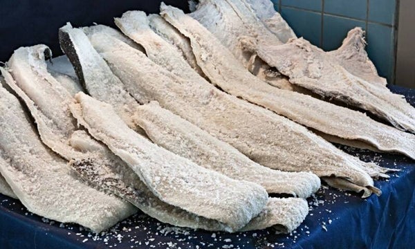 Poisson Salé  en gros - en direct de la Norvège