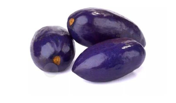 Le Safou petit et grand format