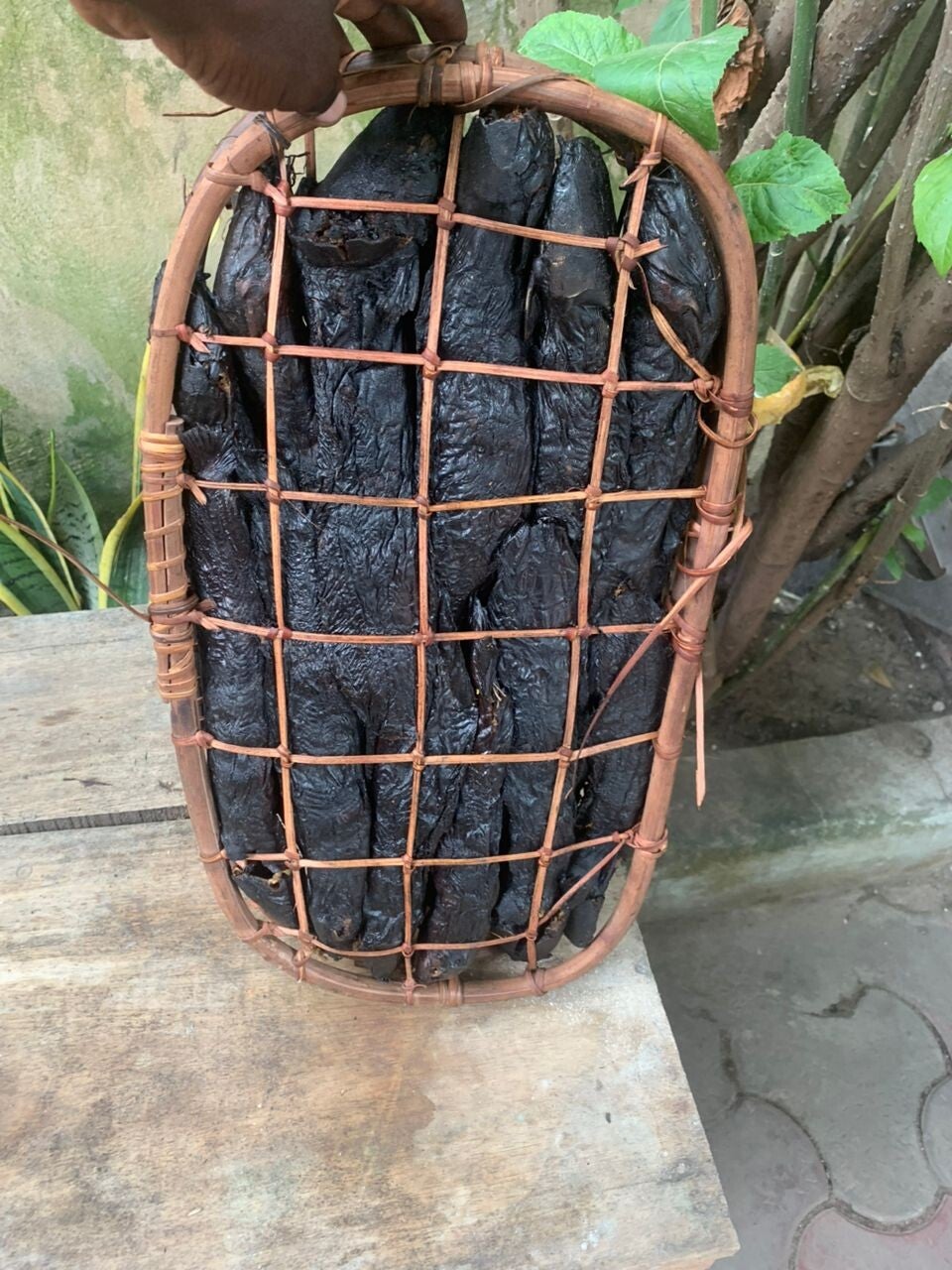 Poisson chat fumé - Ngolo fumé du Congo