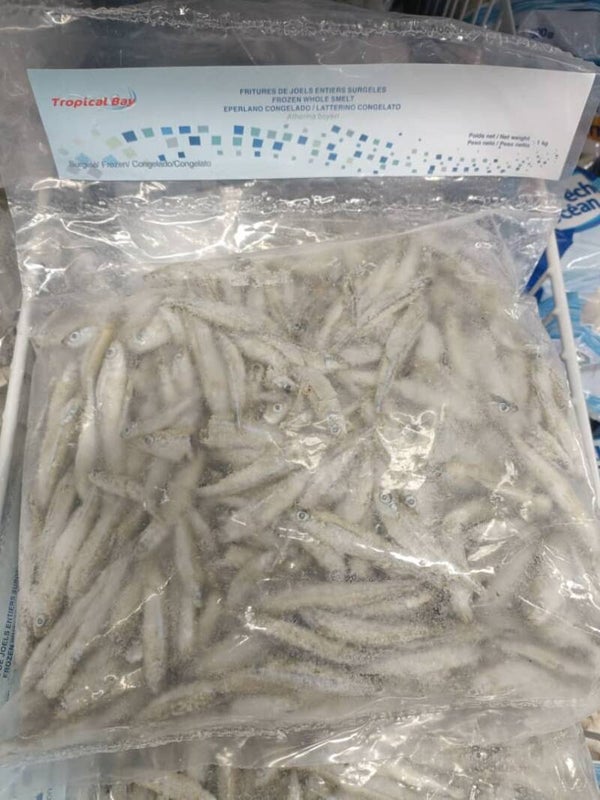 Joels entiers surgelés pour friture