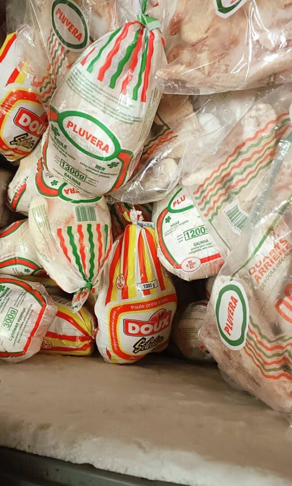 PROMOTION - Le poulet Pluvera P 10 P12 P 13 - Stock limité