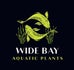 Wide Bay Aquatic Plants