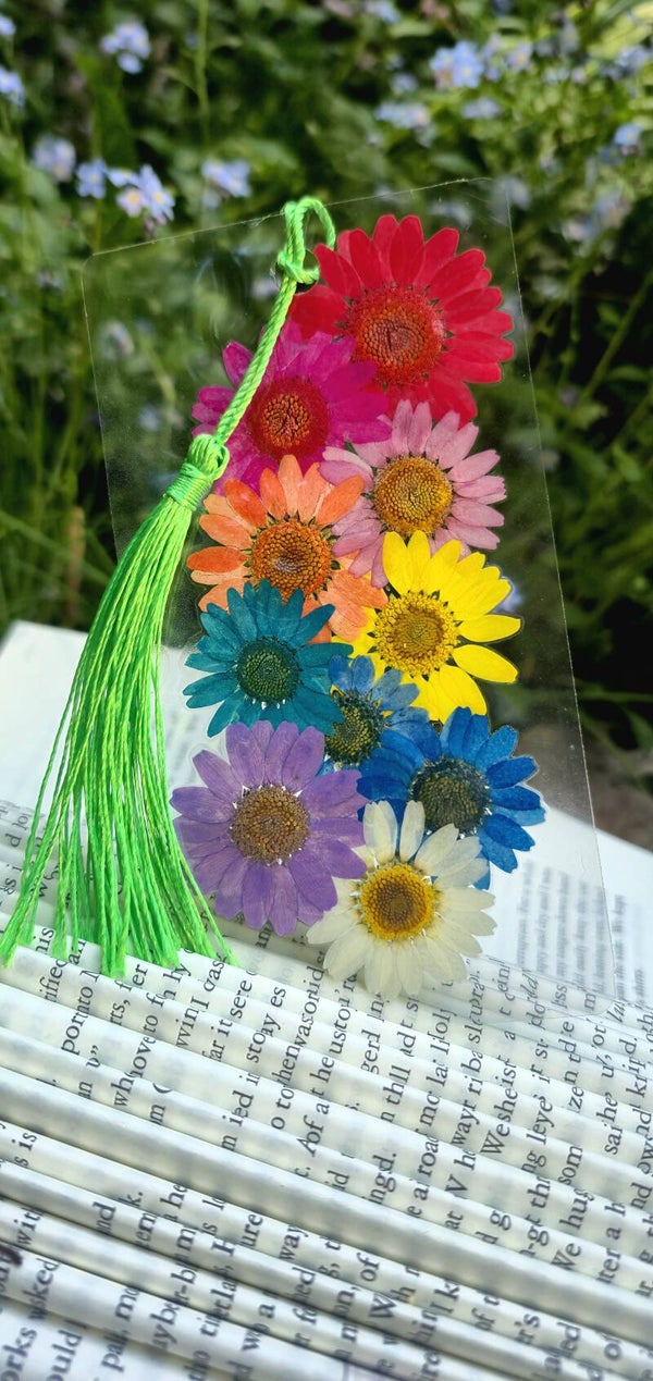 Clear basic bookmark Rainbow