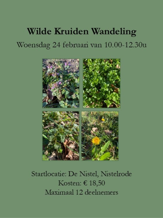 Wilde Kruiden Wandeling Februari 2027