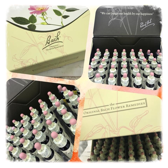 Consultation Fleurs de Bach