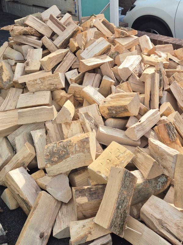ASH ONLY LOGS