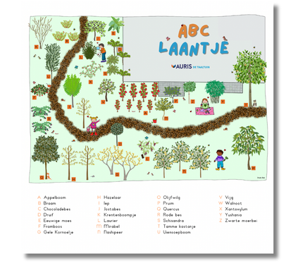 afbeelding van de plattegrond van het ABClaantje voor de Taaltuin van Auris door Studio Bieb, met 26 soorten bomen en planten,