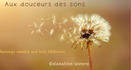 Aux douceurs des sons