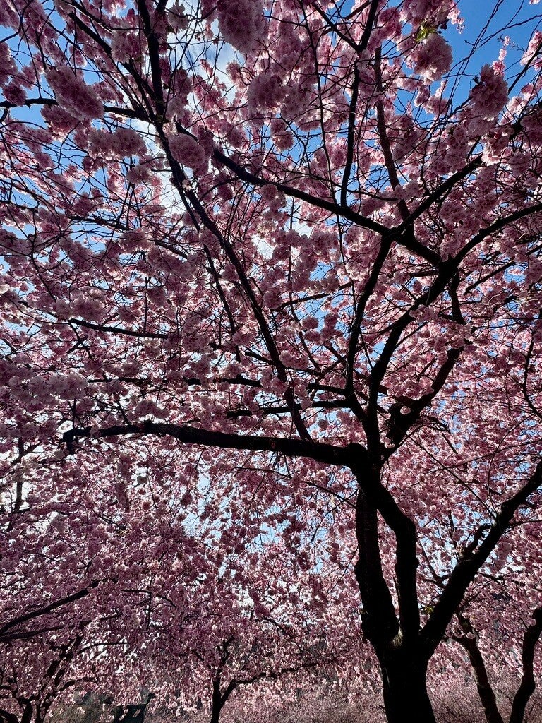 Nuances of nature