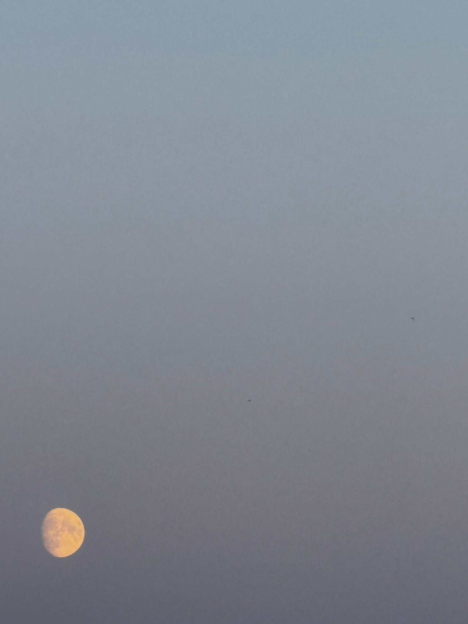 La luna