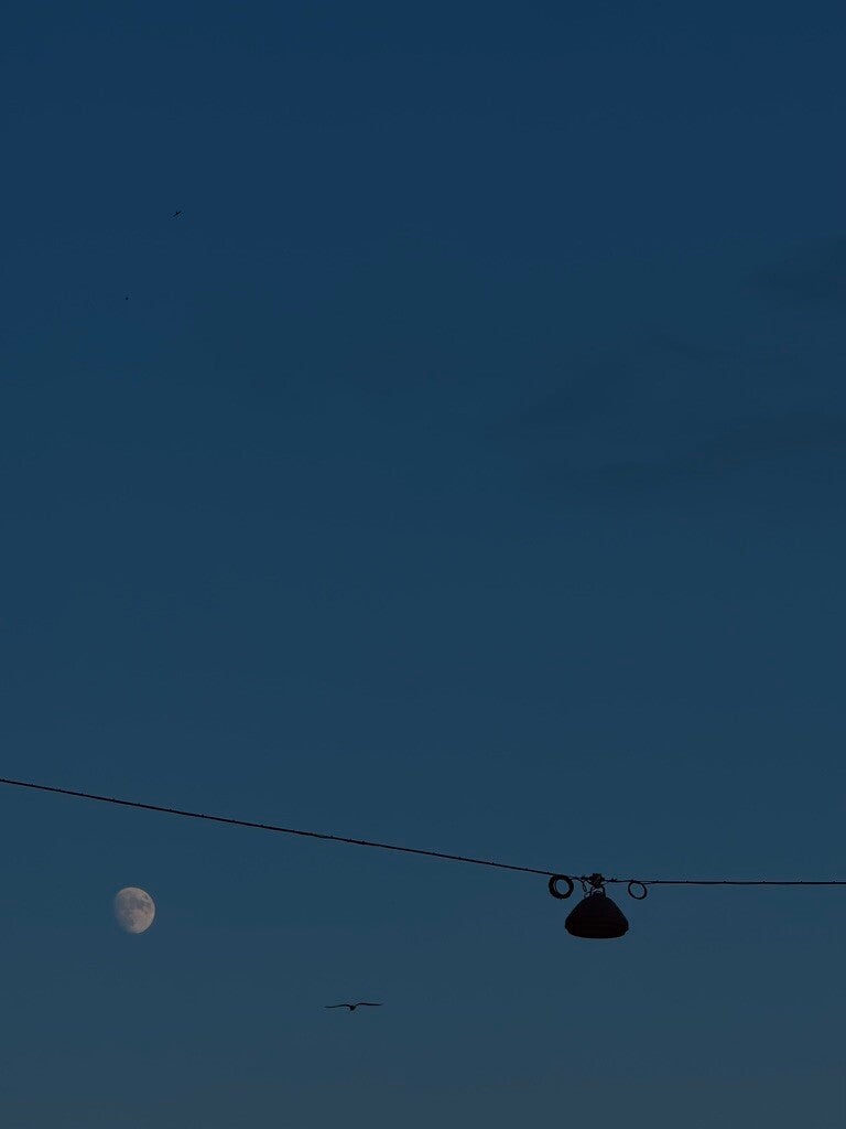 La luna