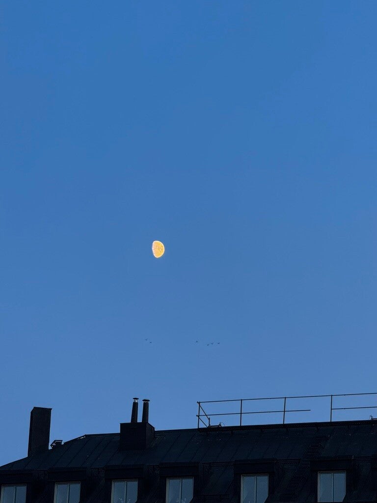 La luna