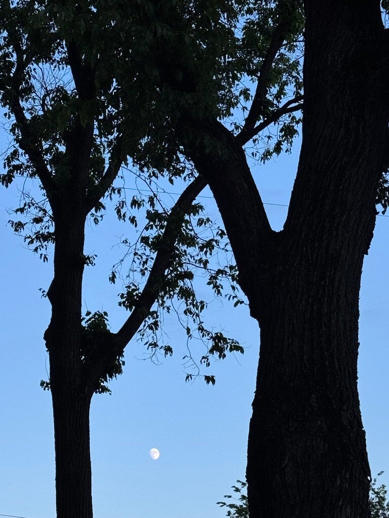 La luna